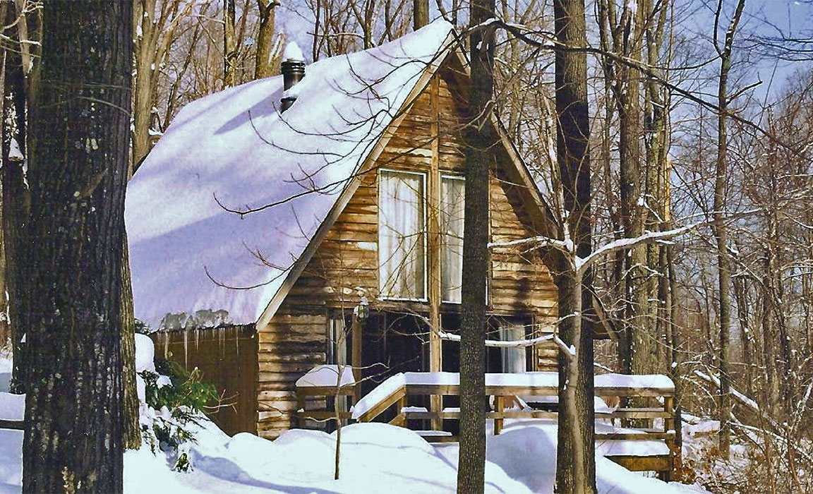 A Winter Cabin at Ole Mink Farm